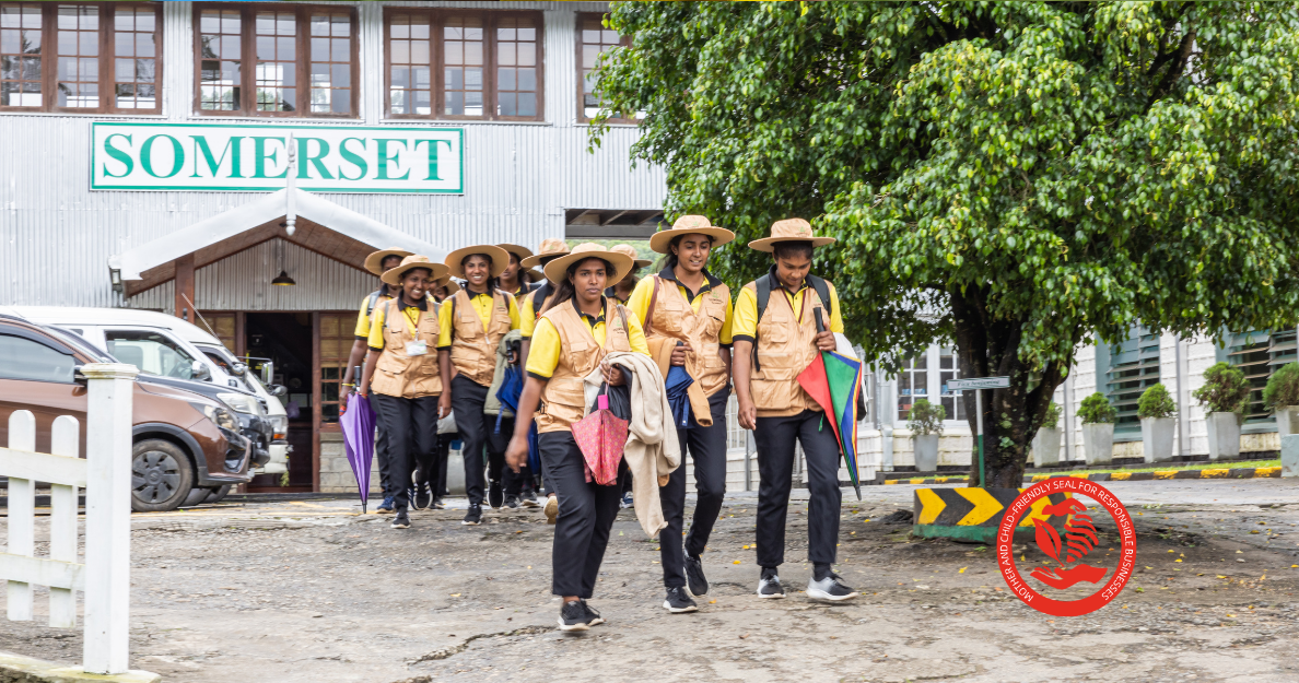 Making History: First-Ever Female Field Staff Supervisors in Sri Lanka Start Work at Talawakelle Tea Estates PLC