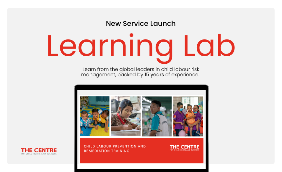 Introducing The Centre Learning Lab - Practical Online Training for Brands and Suppliers