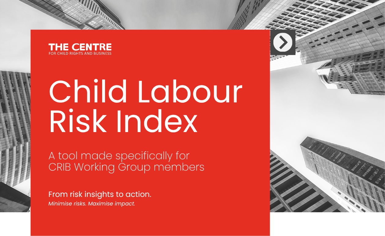 The Centre Launches Child Labour Risk Index for CRIB Working Group Members