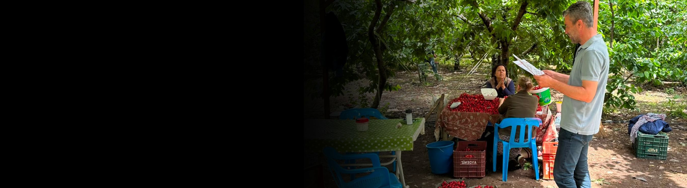 Our Work with Lidl to Turn Child Rights Due Diligence into Action in T&uuml;rkiye's Agriculture Sector